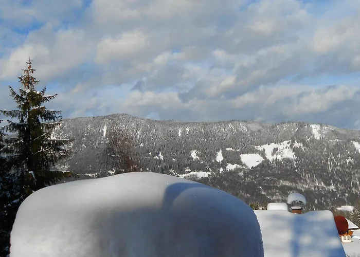 Prázdninový dům Schneeberghuette *