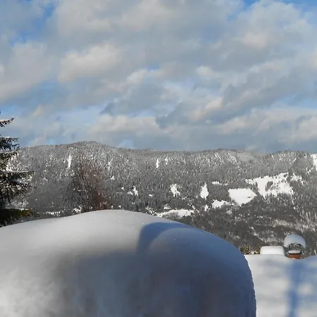 Prázdninový dům Schneeberghuette Thiersee