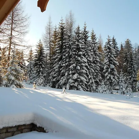 Schneeberghuette Dom wakacyjny