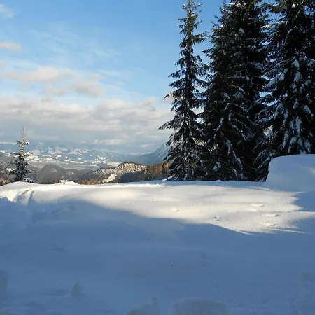 Schneeberghuette Dom wakacyjny